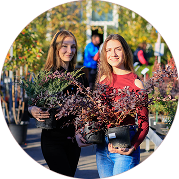 20-річний досвід стабільної роботи