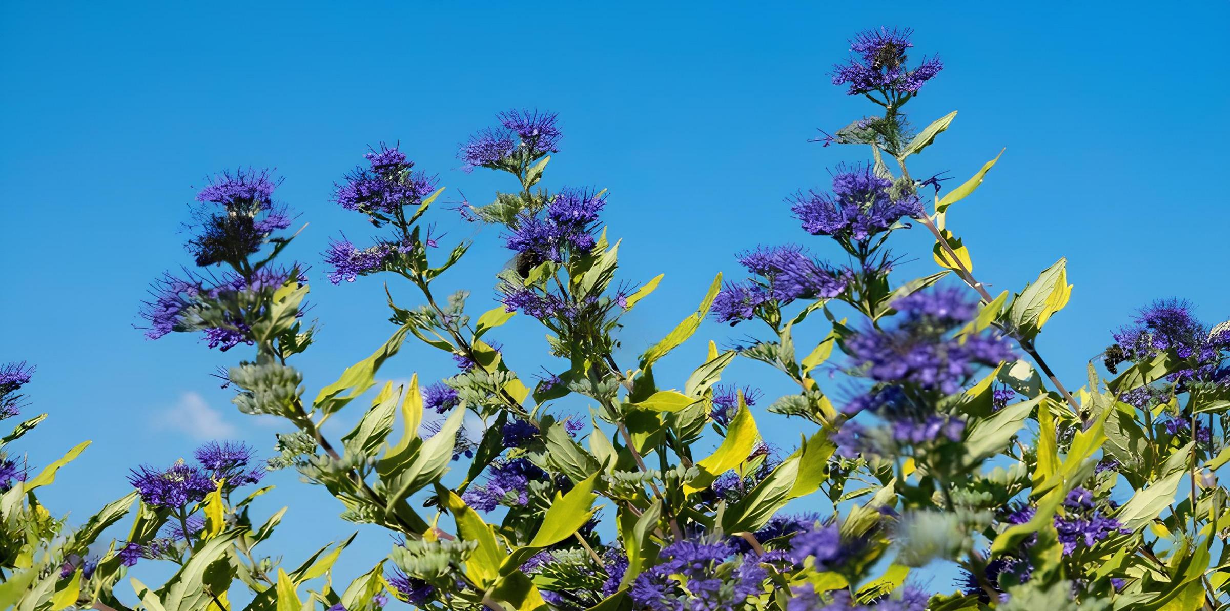 Золота добірка осені: знижки до 50 % - 1