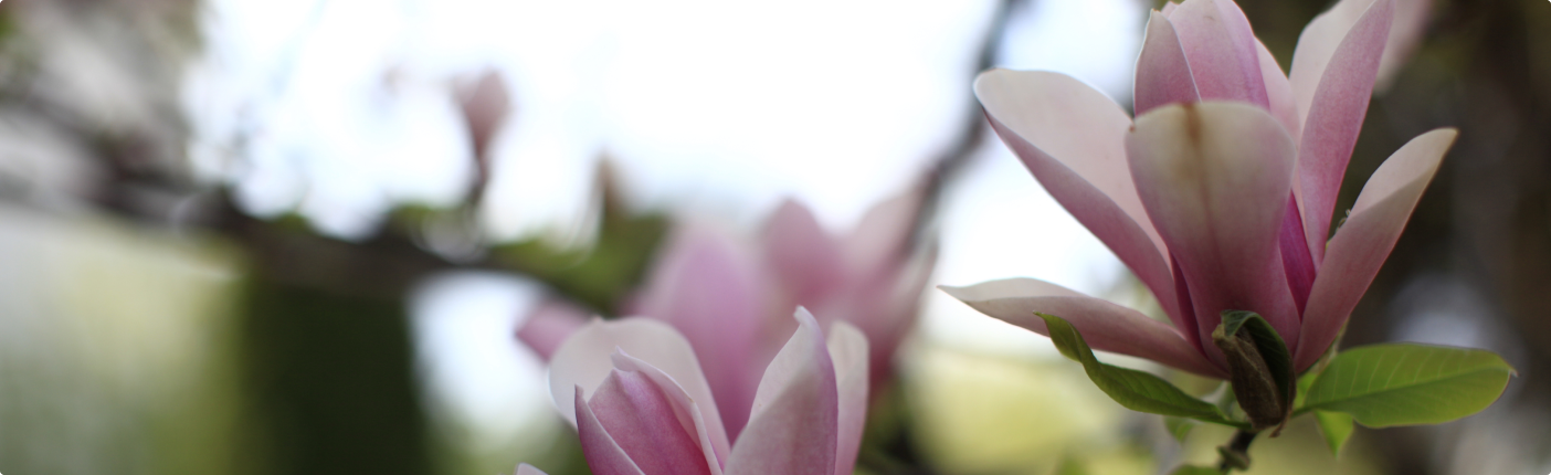 Получить прайс для оптовых покупателей? (не редактируем)