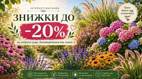 Увага! Знижки до -20% на популярні рослини