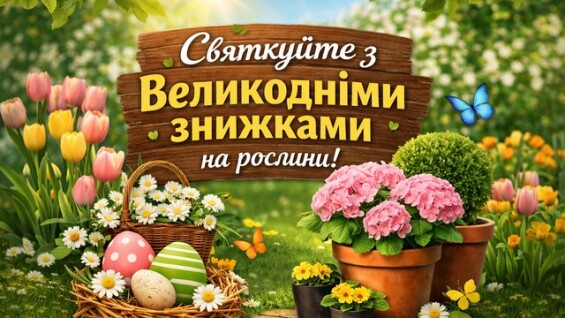 Святкуйте з Великодніми знижками на рослини!