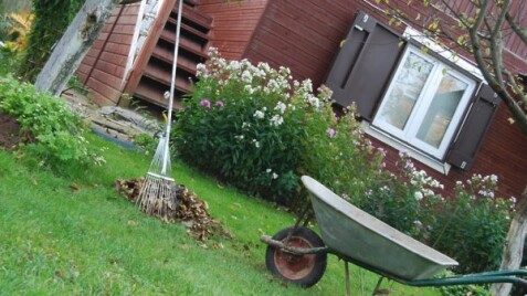 Как подготовить участок к зиме