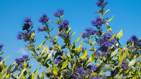 Золота добірка осені: знижки до 50 %