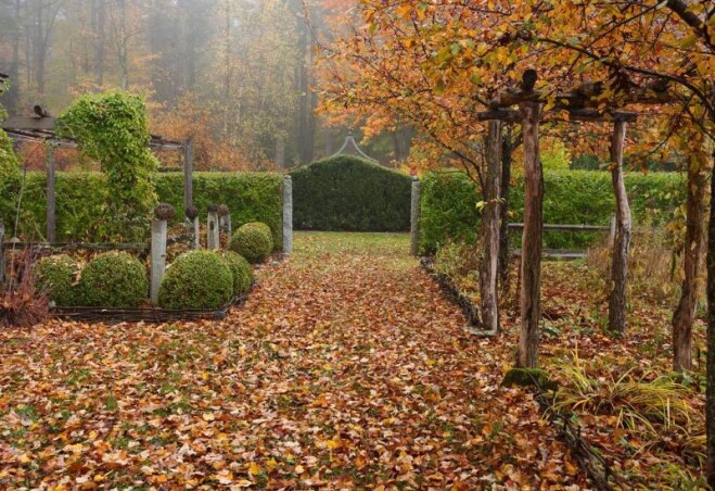 Садовые работы в ноябре