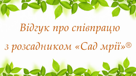 Відгук: про досвід співпраці з розсадником «Сад Мрії»