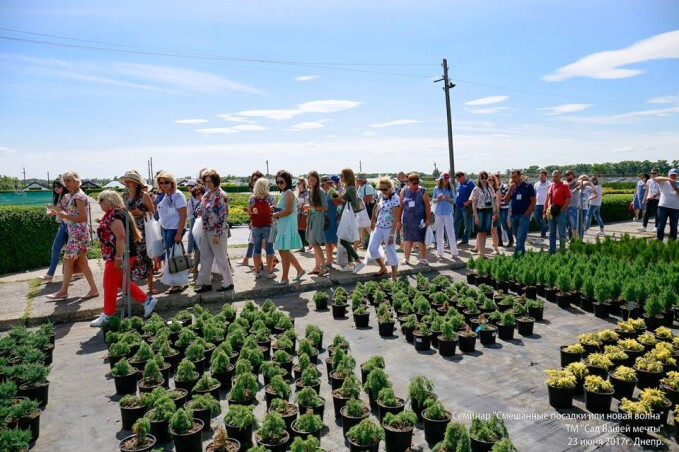 Семінар «Змішані посадки» або «Нова хвиля»?