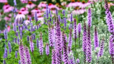 Увага, знижки подовжені до 30 вересня!