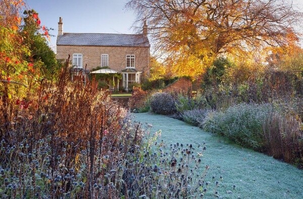 Осіння обрізка злаків: як вчинити?