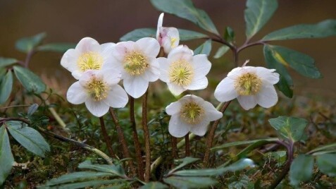 С началом сезона, дорогие друзья!