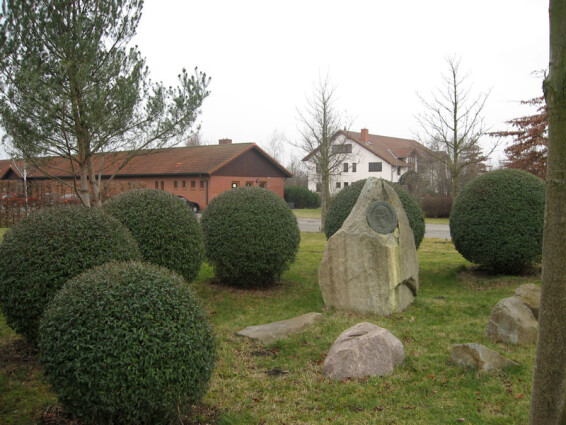 Бирючина обыкновенная 'Atrovirens', формов. шар - 1