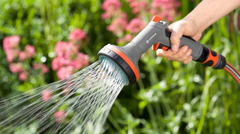 Уход после посадки