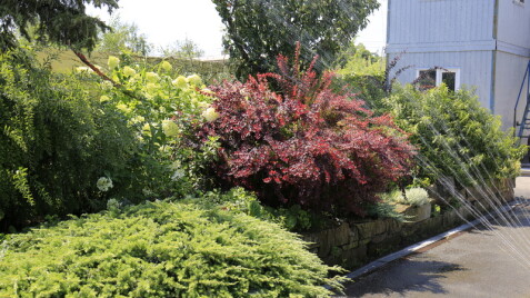 Садівникові на замітку. Поради очевидні і не дуже…