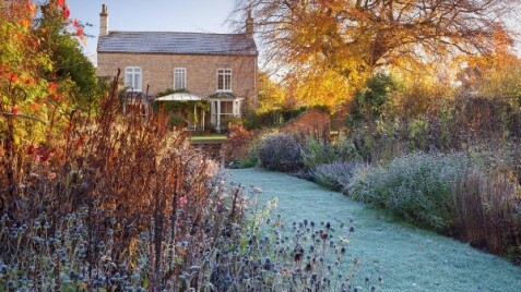 Осенняя обрезка злаков: как поступить?