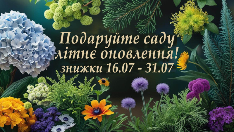 Подаруйте саду літнє оновлення! Знижки до 40%