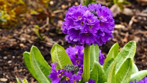 Сонячні знижки — до -20%