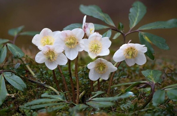 С началом сезона, дорогие друзья!