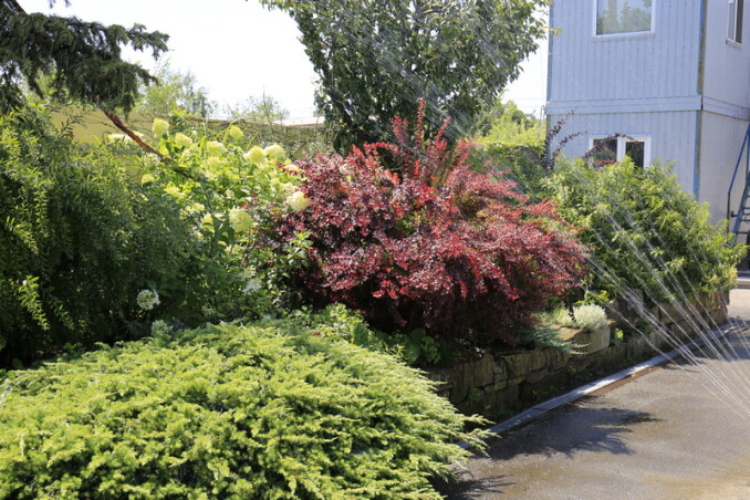 Садівникові на замітку. Поради очевидні і не дуже…