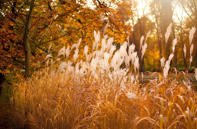 Фінальні знижки сезону