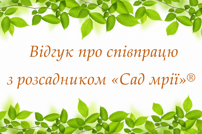 Відгук: про досвід співпраці з розсадником «Сад Мрії»