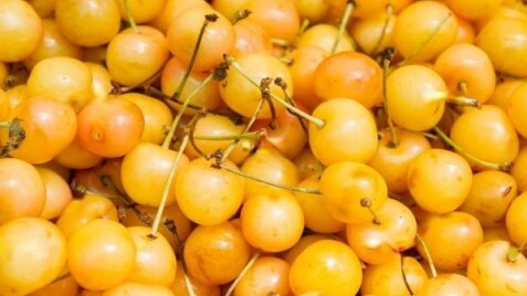 Внимание, новое поступление плодовых саженцев!