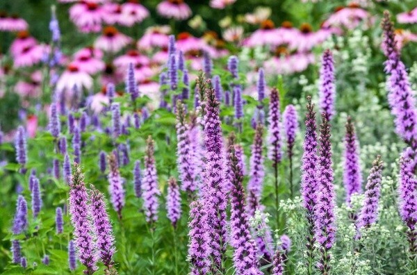 Увага, знижки подовжені до 30 вересня!