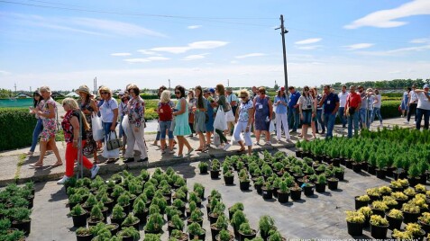 Семінар «Змішані посадки» або «Нова хвиля»?
