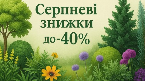 Серпневі знижки до -40%!