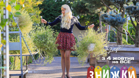 Золота осінь на Садовому центрі