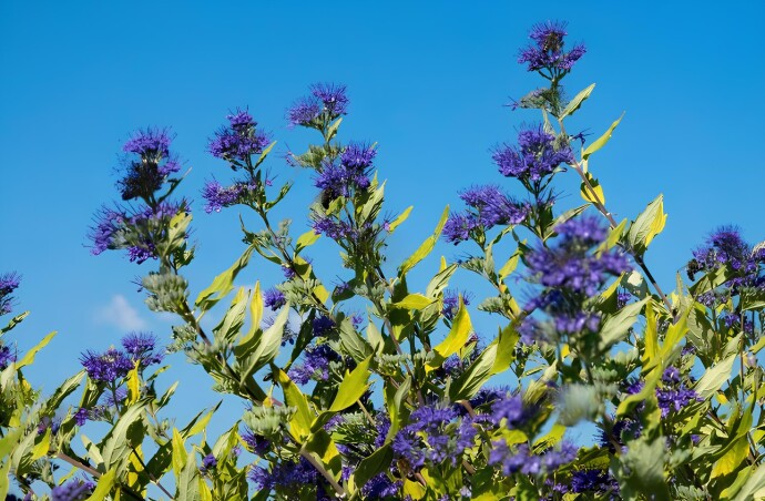 Золота добірка осені: знижки до 50 %