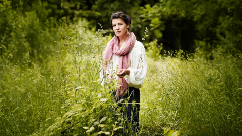 Сара Прайс: натхнення в ландшафтному дизайні, що навіяне природою