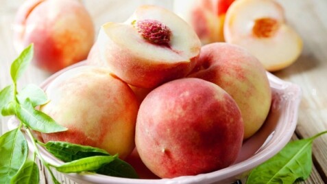 Плодові саджанці зі знижкою -15%