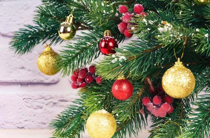 «Сад мрії» щиро вітає вас із новорічними святами! «Сад мрії» щиро вітає вас із новорічними святами!