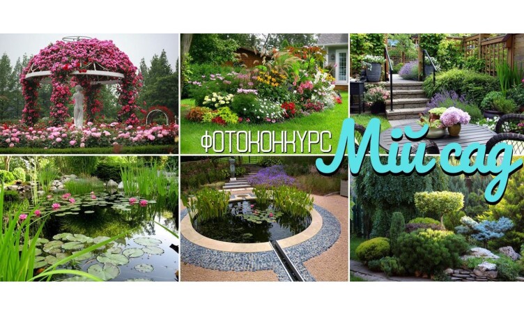 Фотоконкурс «#МійСадМрії» стартує 11 серпня!