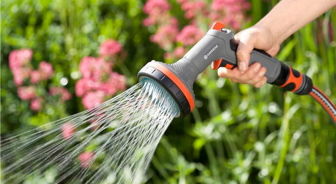 Уход после посадки