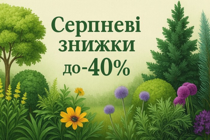 Серпневі знижки до -40%!