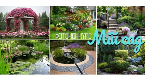 Фотоконкурс «#МійСадМрії» стартує 11 серпня!
