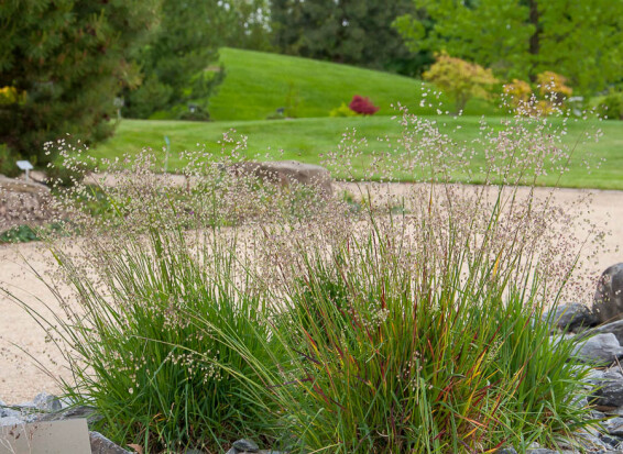 Бриза середня , p9 - - 4