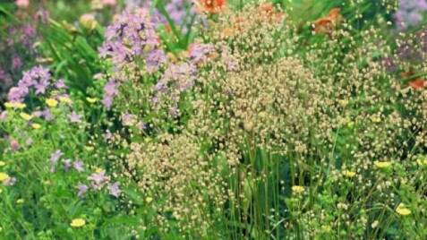 Великолепная бриза