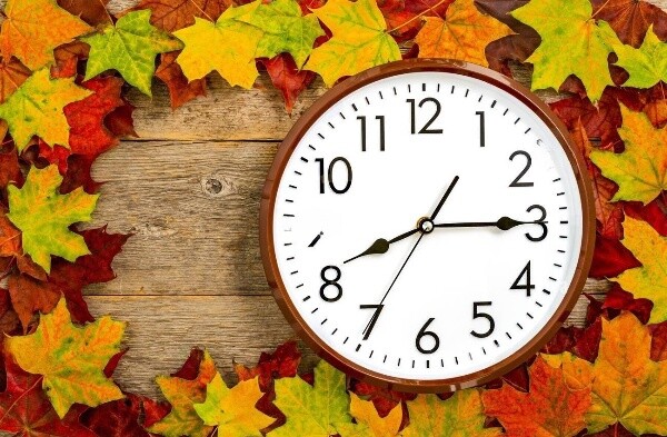 З 1 листопада почне діяти зимовий графік роботи Садового центру! 