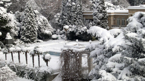 Садові роботи в лютому