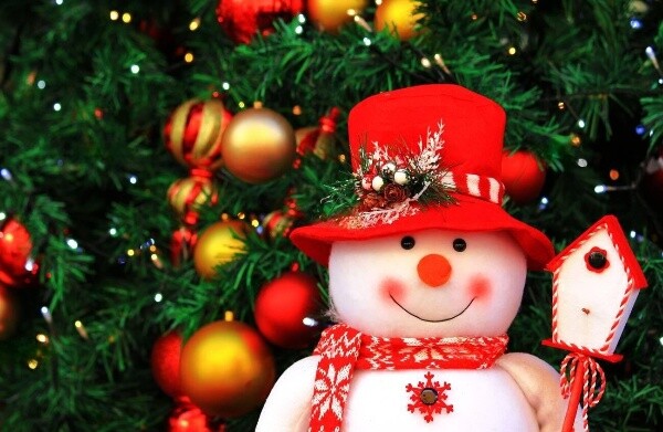 Пропонуємо симпатичні прикраси для ваших яскравих зимових свят!