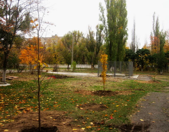 О благотворительной акции для 6-й больницы