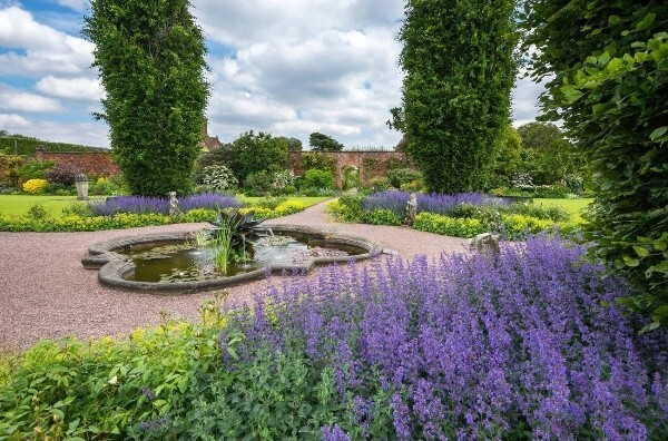 КОТОВНИКИ: КАК ВЫБРАТЬ И КАК УХАЖИВАТЬ В САДУ