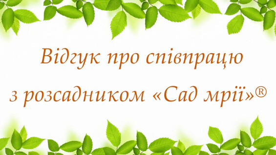 Відгук: про досвід співпраці з розсадником «Сад Мрії»