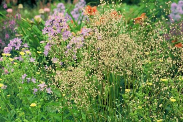 Великолепная бриза