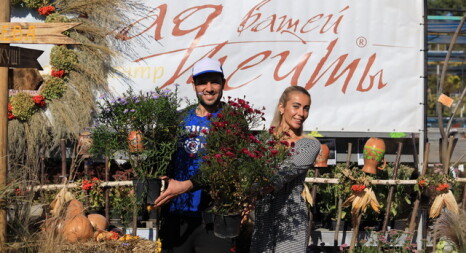 Багаторічні квіти та трави