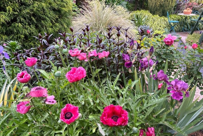 Сади по-новому: 8 свіжих трендів ландшафтного дизайну сезону 2026