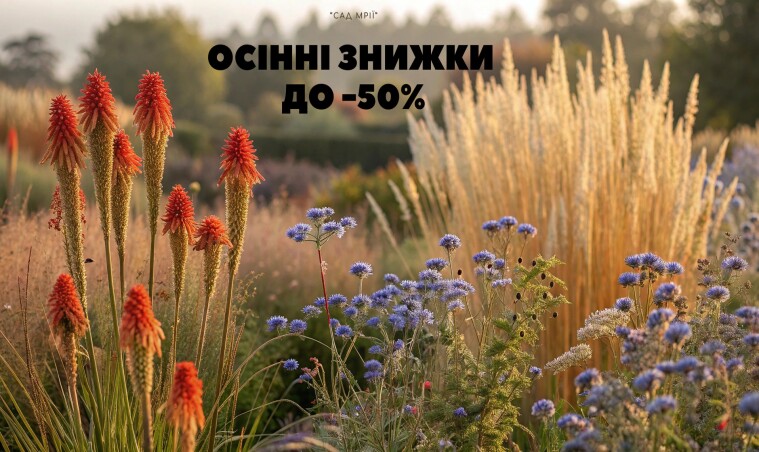 30 рослин для яскравої осені: знижки до - 50% подовжено!