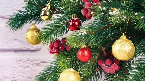 «Сад мрії» щиро вітає вас із новорічними святами!