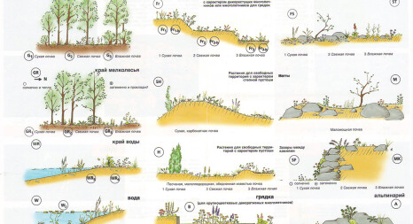 Схема зон застосування багаторічних квітів та трав